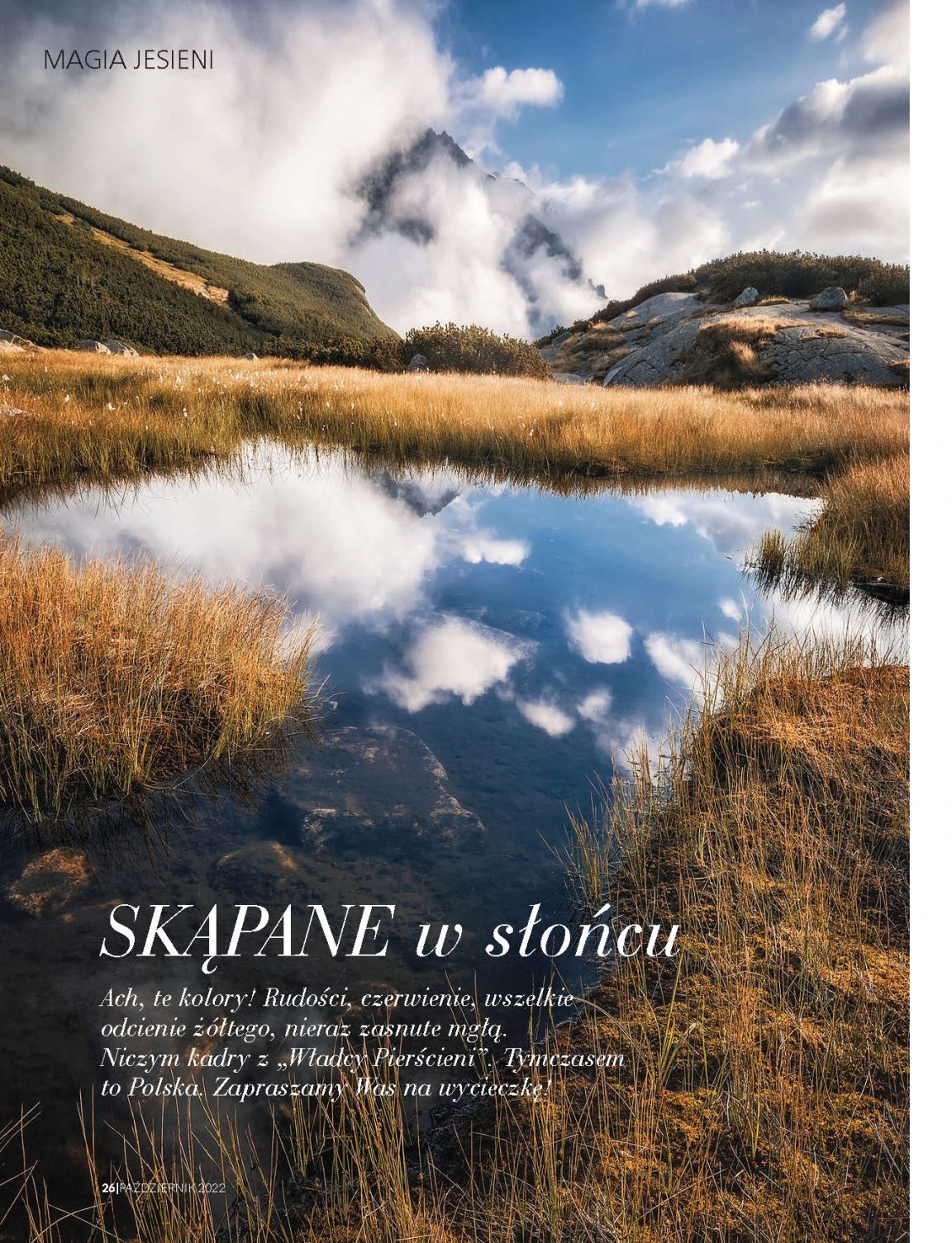 Strona 8