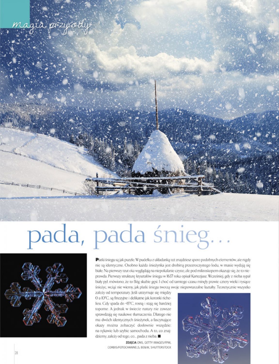 Strona 4