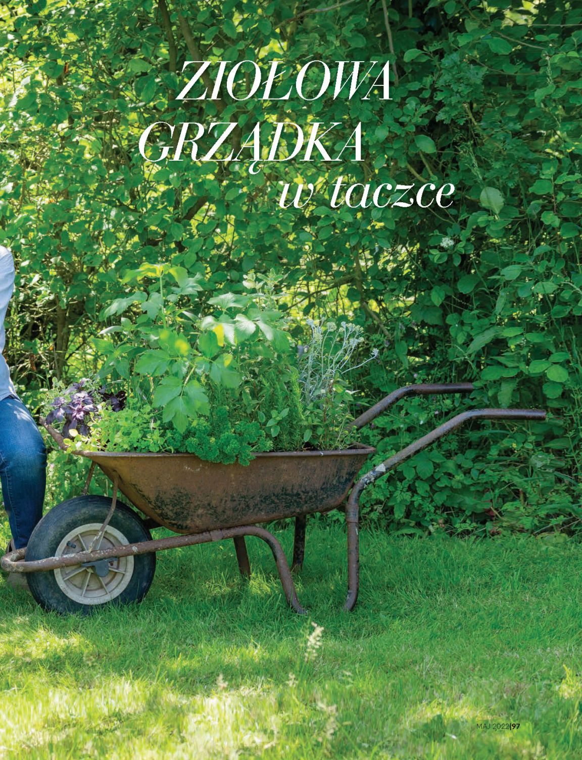 Strona 23