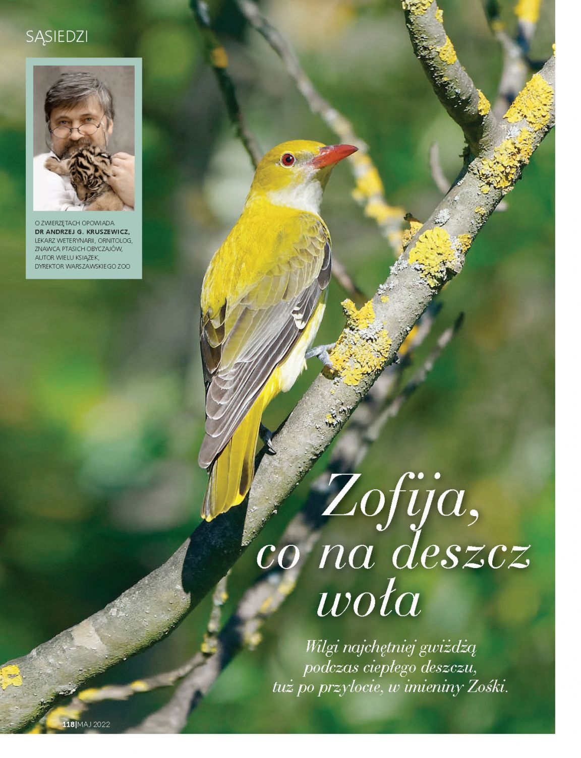 Strona 32