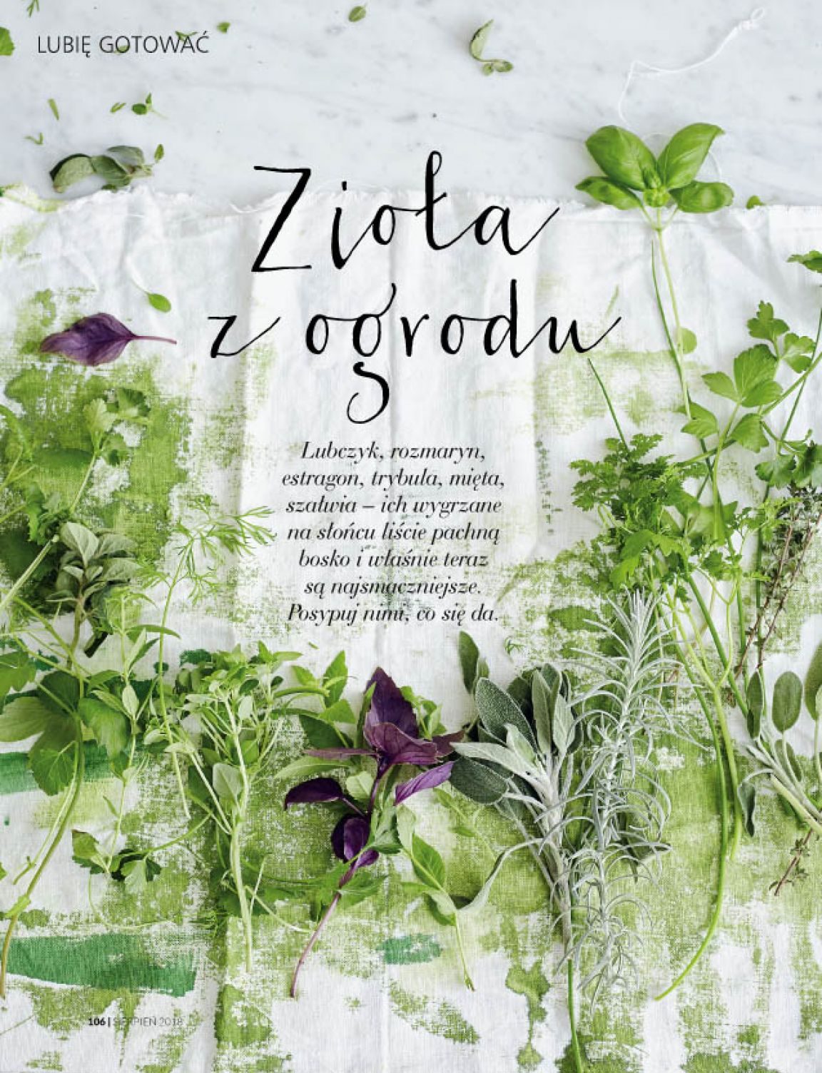 Strona 24