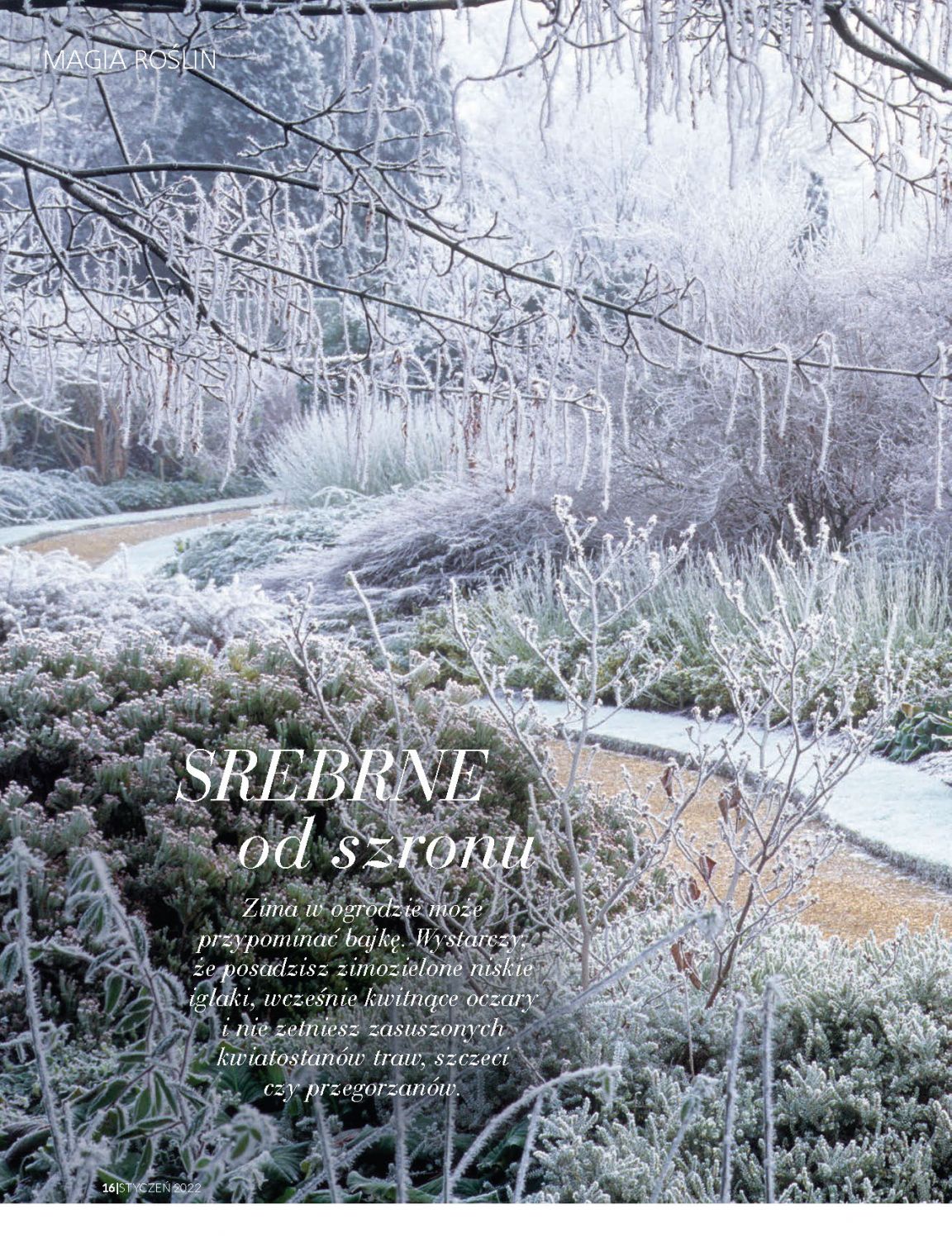 Strona 4