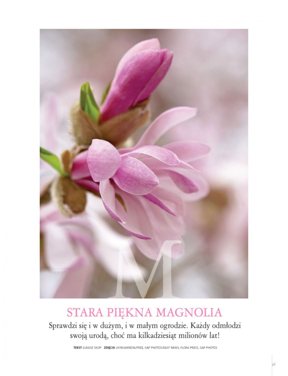 Strona 21