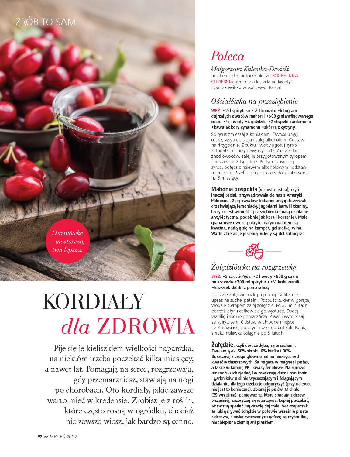 Strona 28