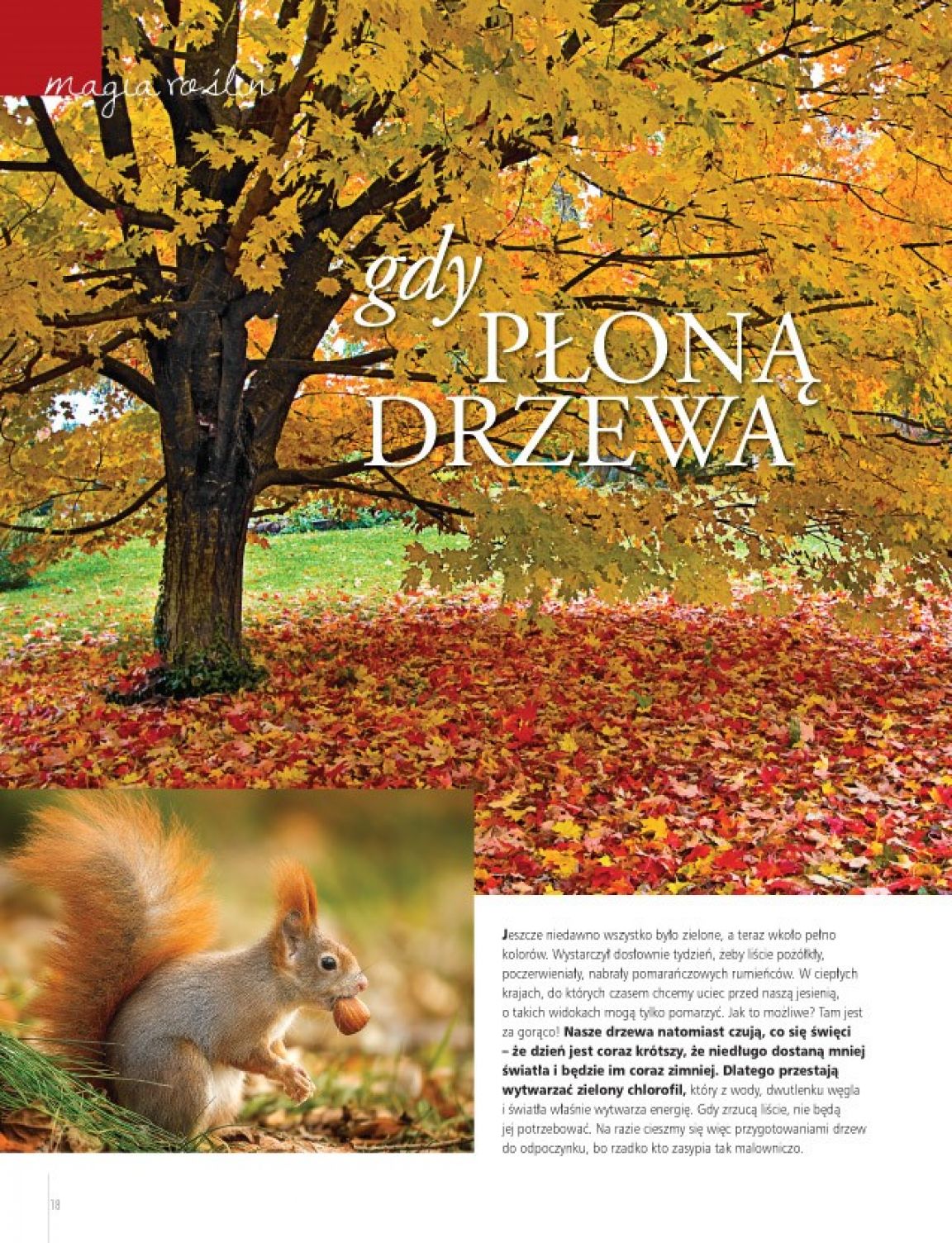 Strona 4