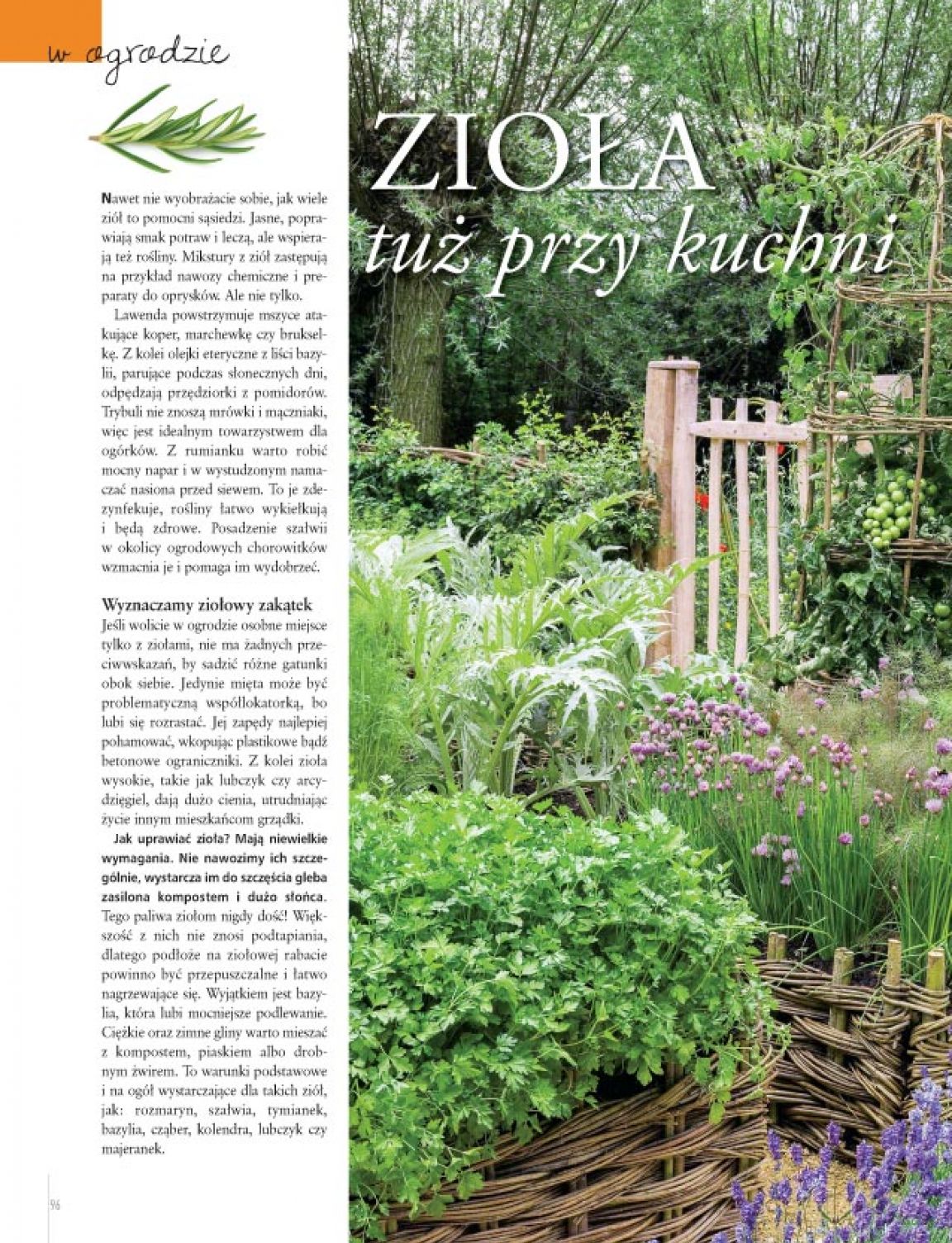 Strona 24