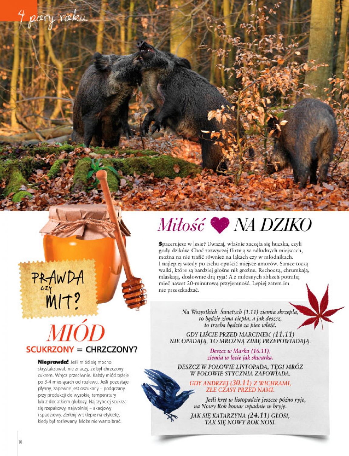 Strona 2