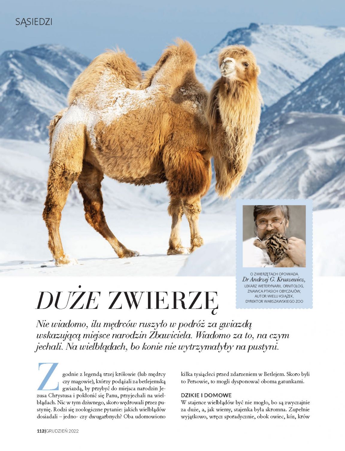 Strona 28