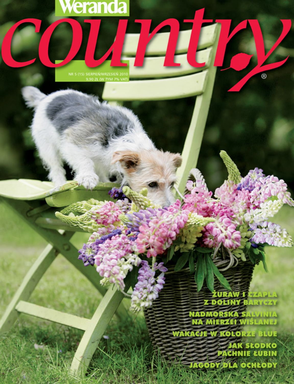 Numer 5/2010