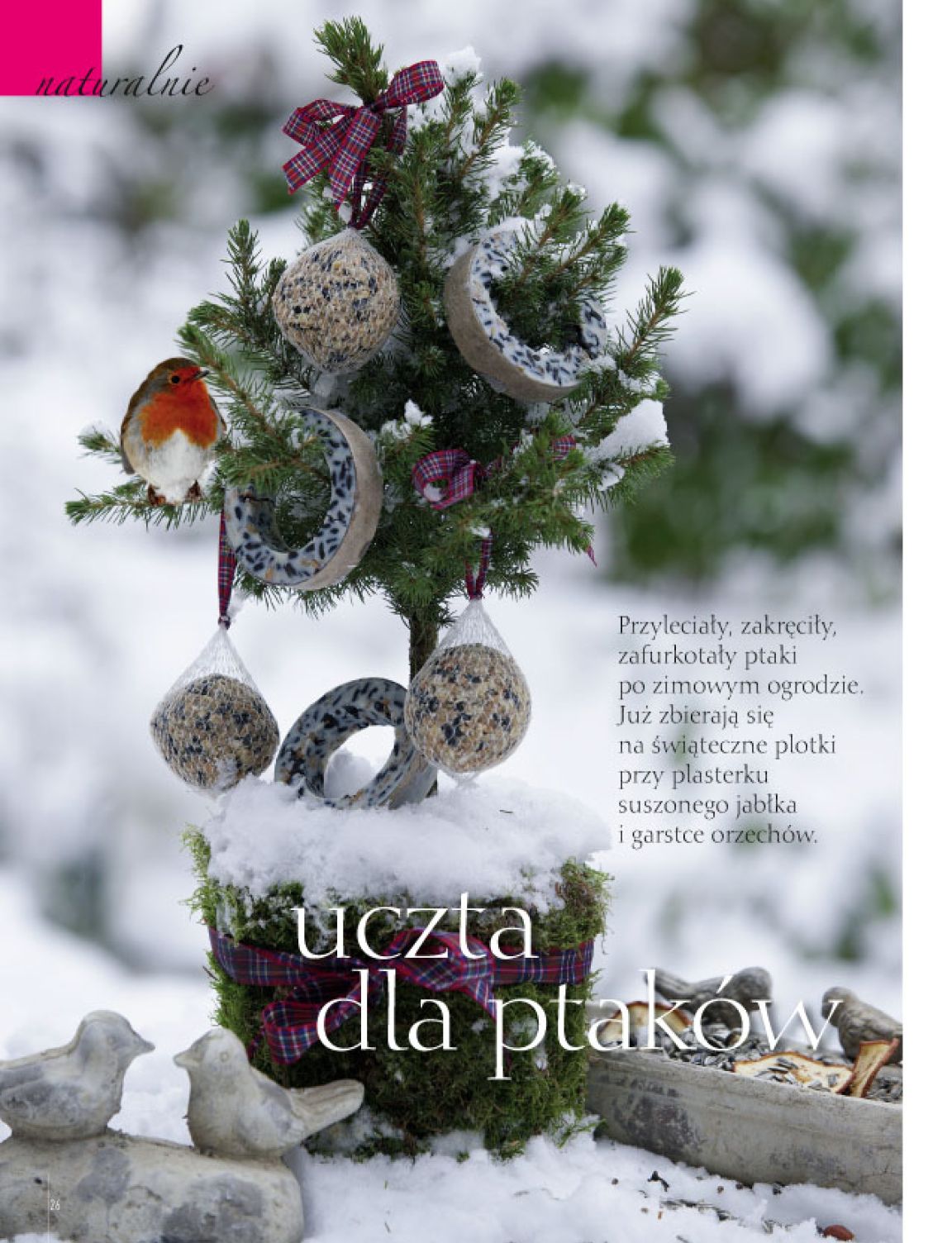 Strona 12