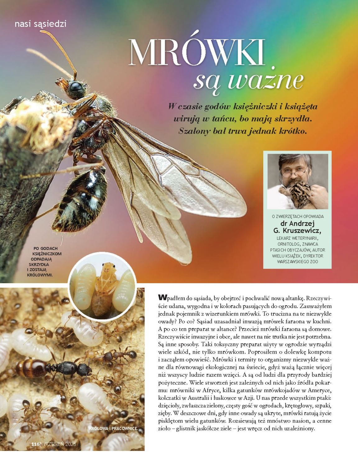 Strona 29