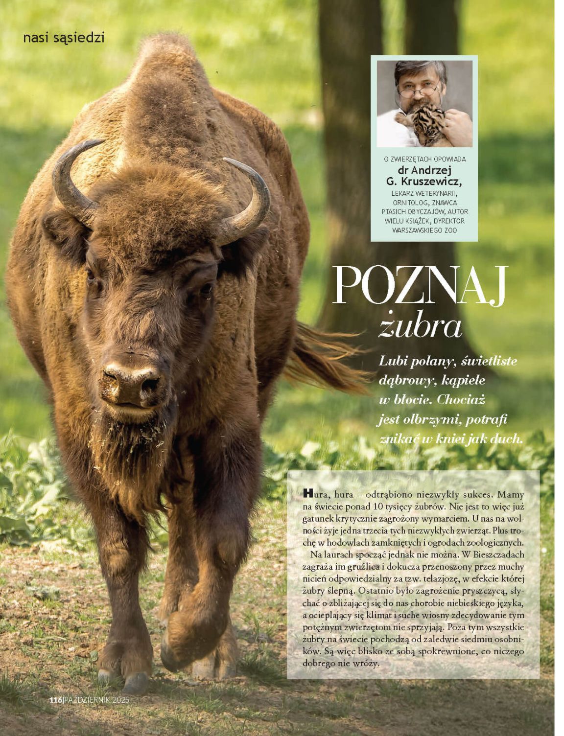 Strona 32