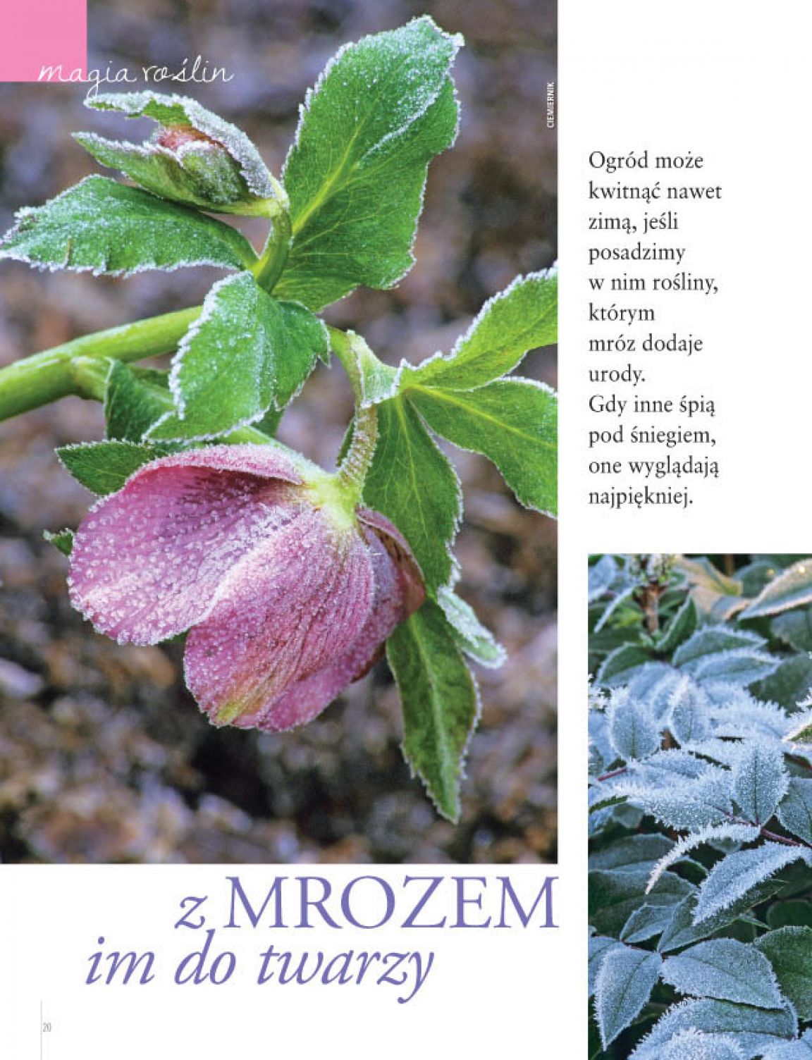 Strona 2