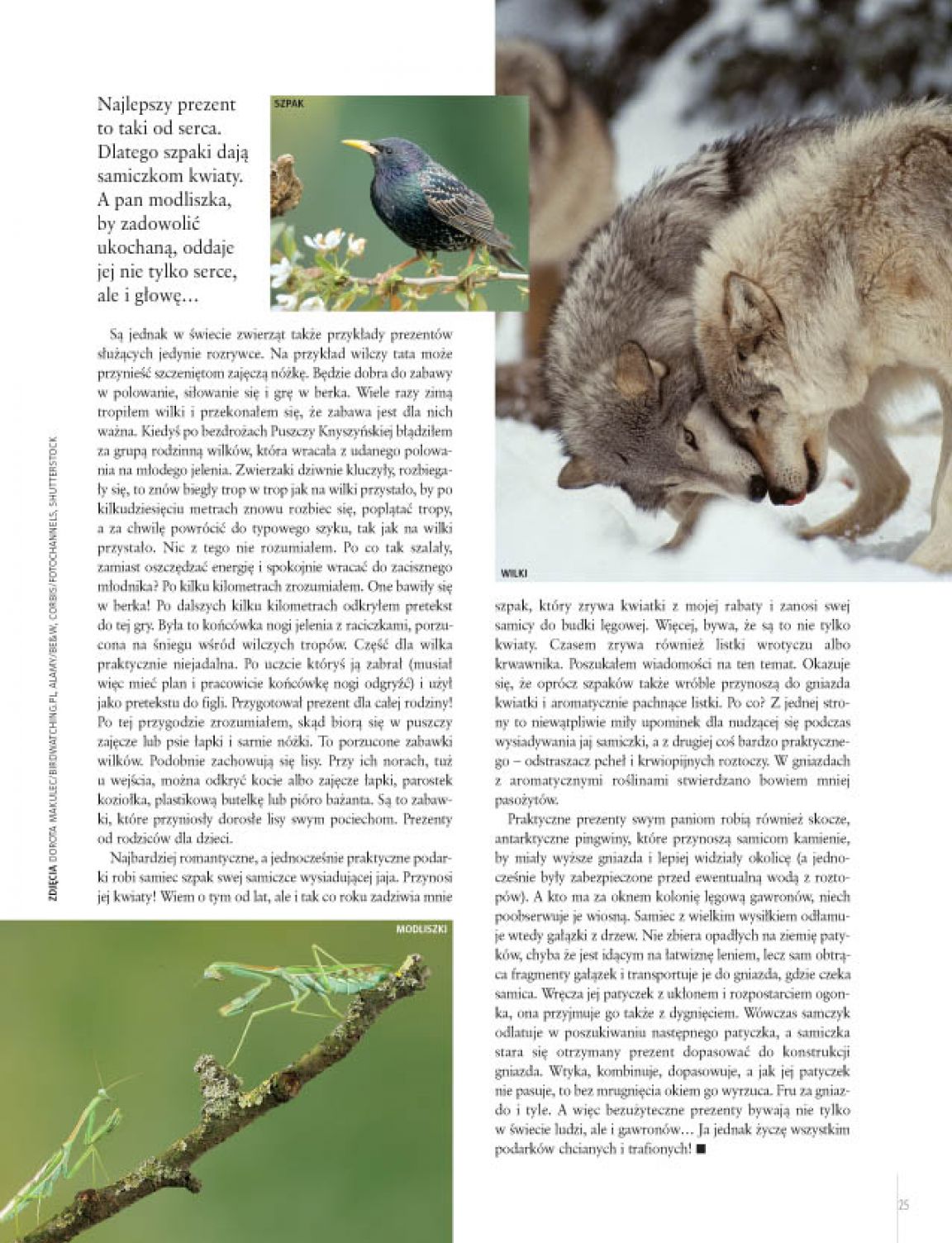 Strona 5