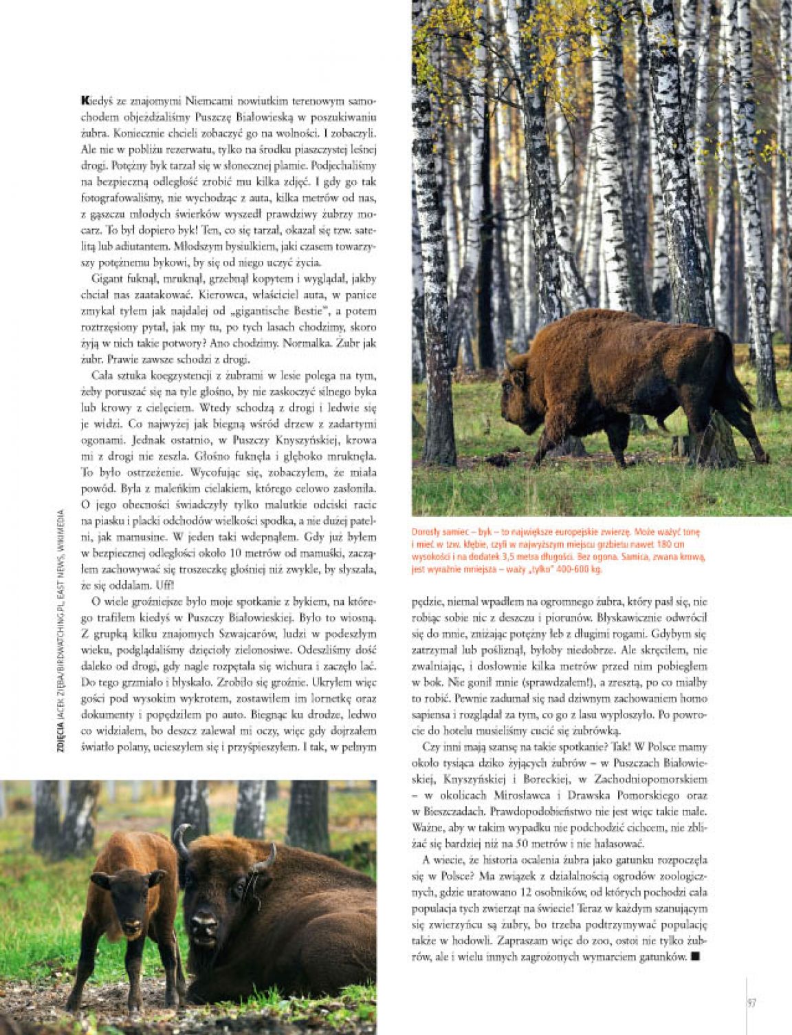 Strona 33