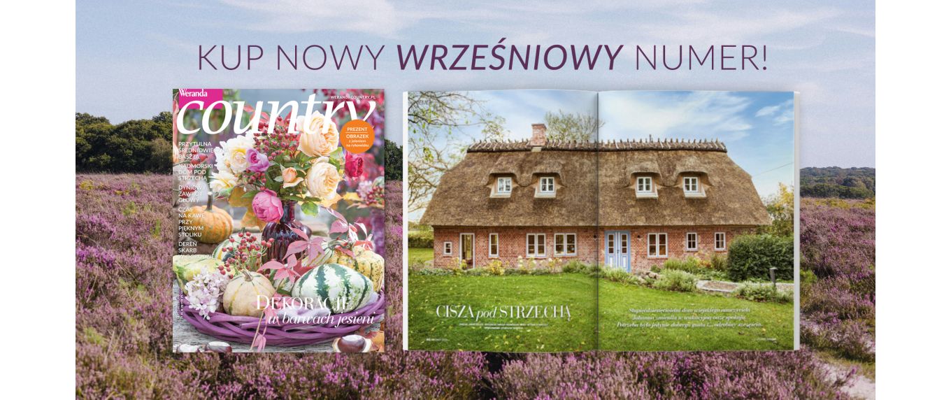 Domy z duszą, jesienne ogrody i smaki sezonu – nowy numer „Werandy Country” listopad 2026