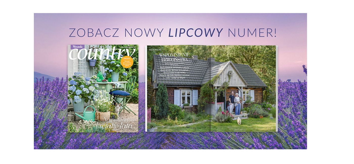 1781078092_nowy do artykulu wc_2b.jpg