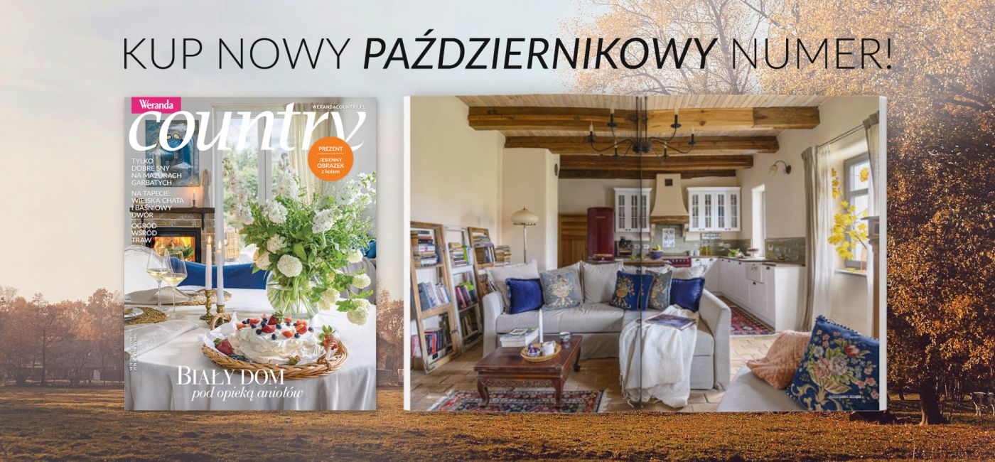 nowy do artykulu wc10.jpg