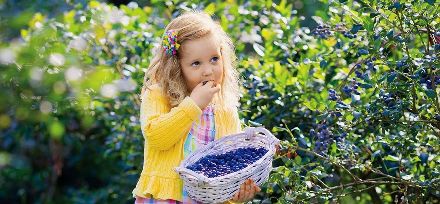 shutterstock_309497579.jpg