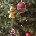 stary dom w bieszczadach