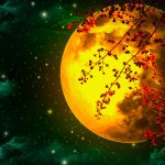 kalendarz księżycowy luty