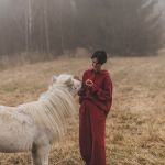 dekoracje bożonarodzeniowe