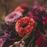 dekoracje bożonarodzeniowe