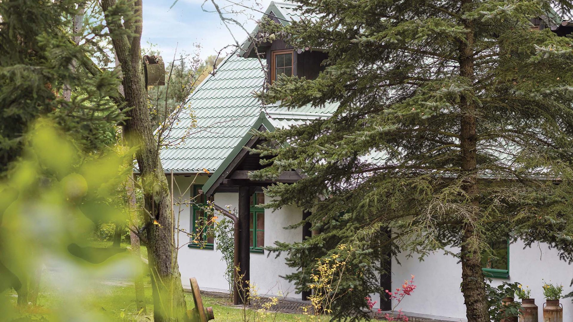 Zielona chałupa w Borach Tucholskich. Wnętrze, które wygląda jak fragment lasu