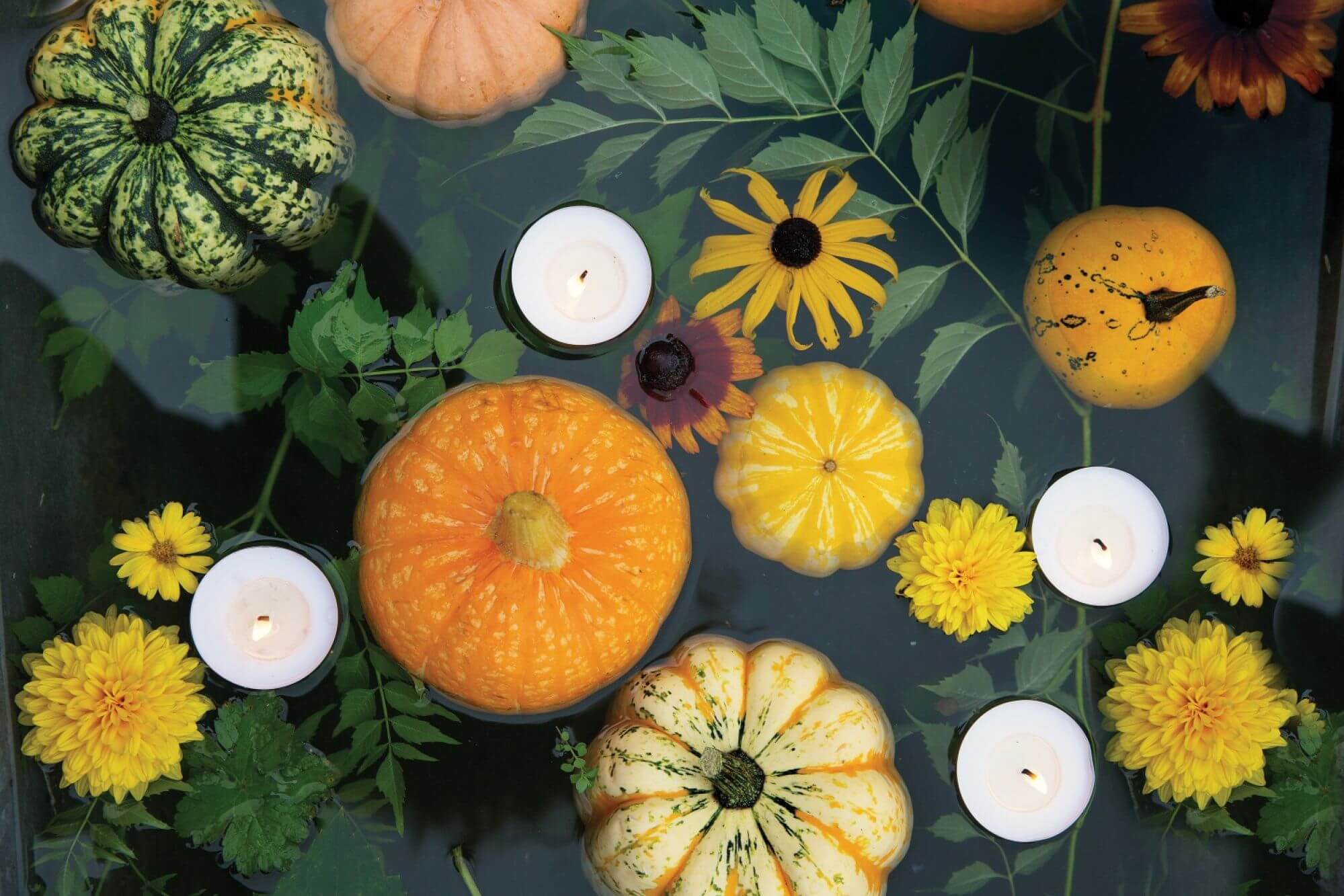 Dekoracje z dynii pływające