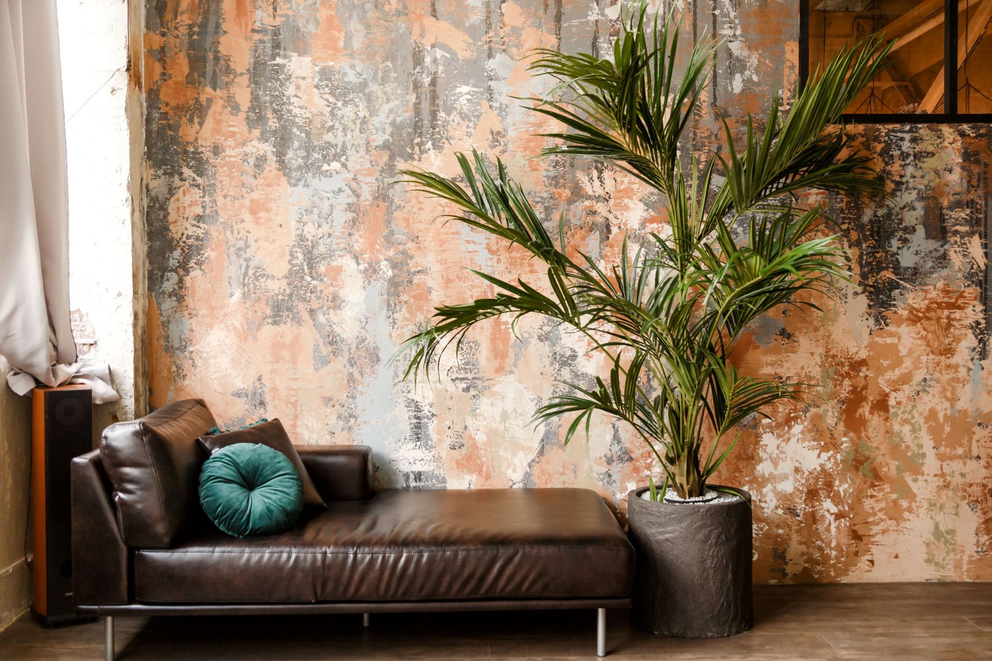 Palma pokojowa na tle kontrastującej kolorystycznie ściany w odcieniach brązu i rudości