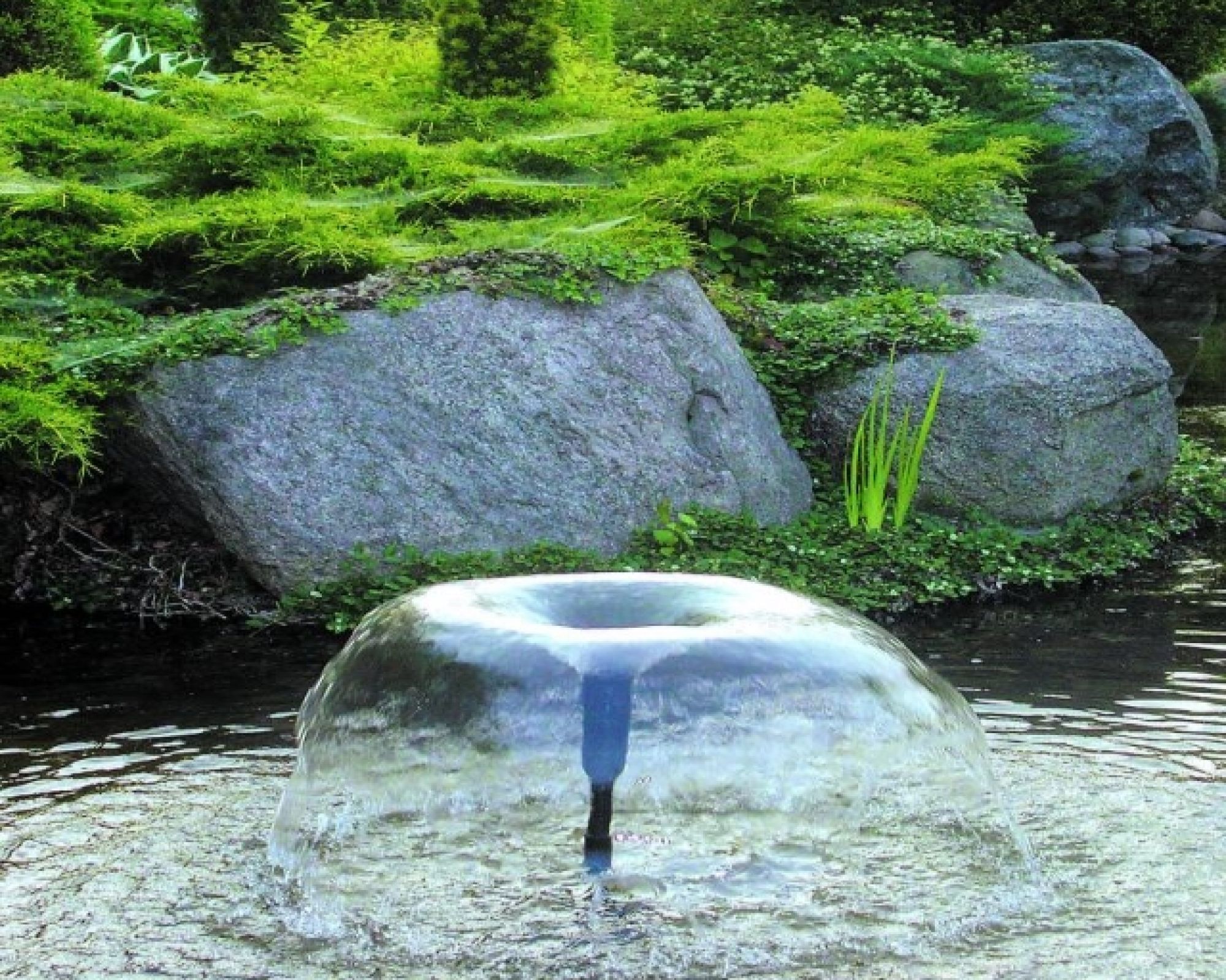 Oczko wodne na wiosnę