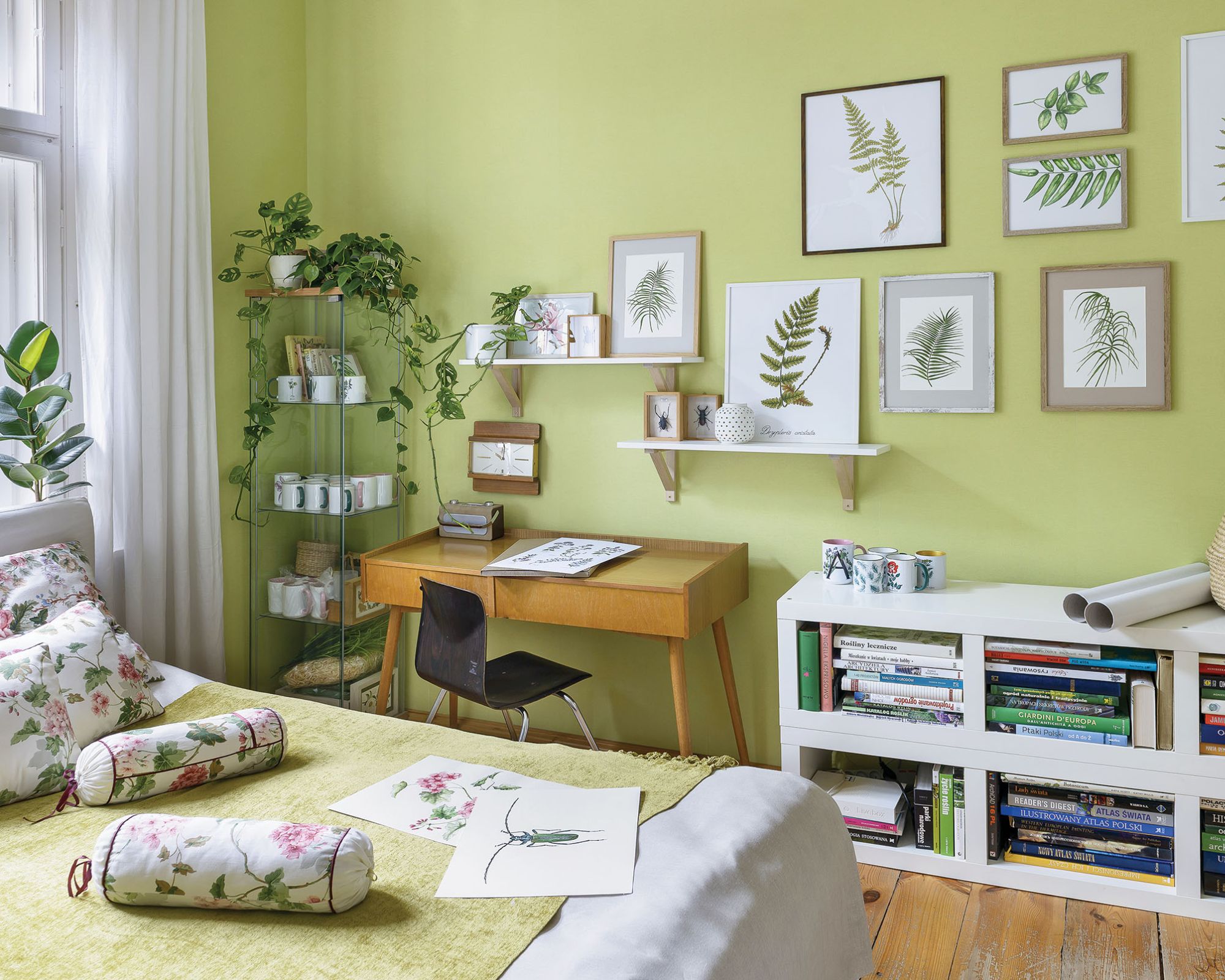 Wśród palm i paproci. W pracowni Dzikie Rzeczy natura jest najważniejsza