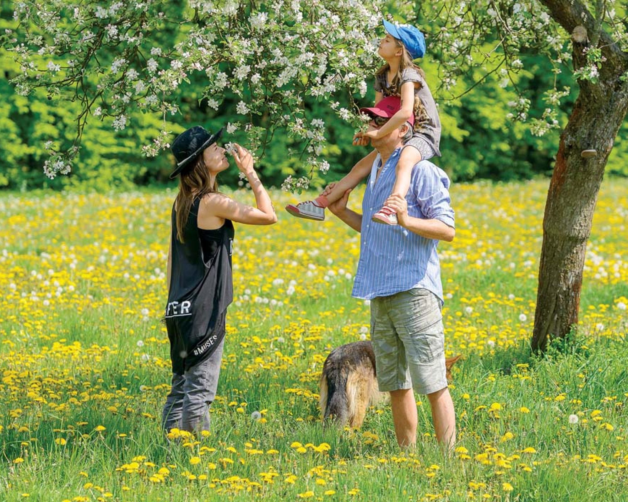 Dworek pod gruszą Janusza Józefowicza
