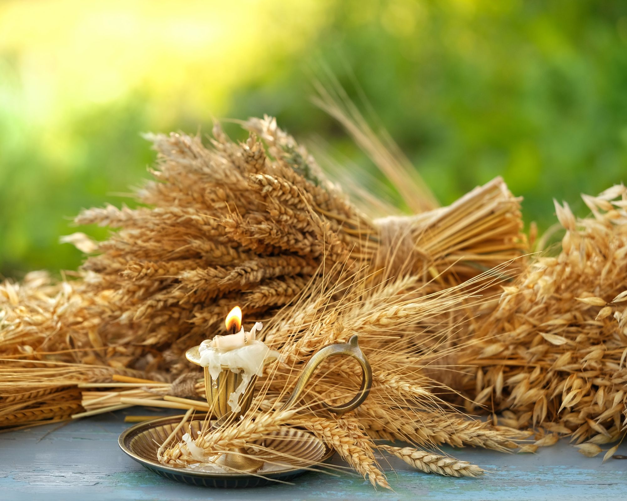 Piękne kłosy zbóż - ciekawe pomysły na dekoracje