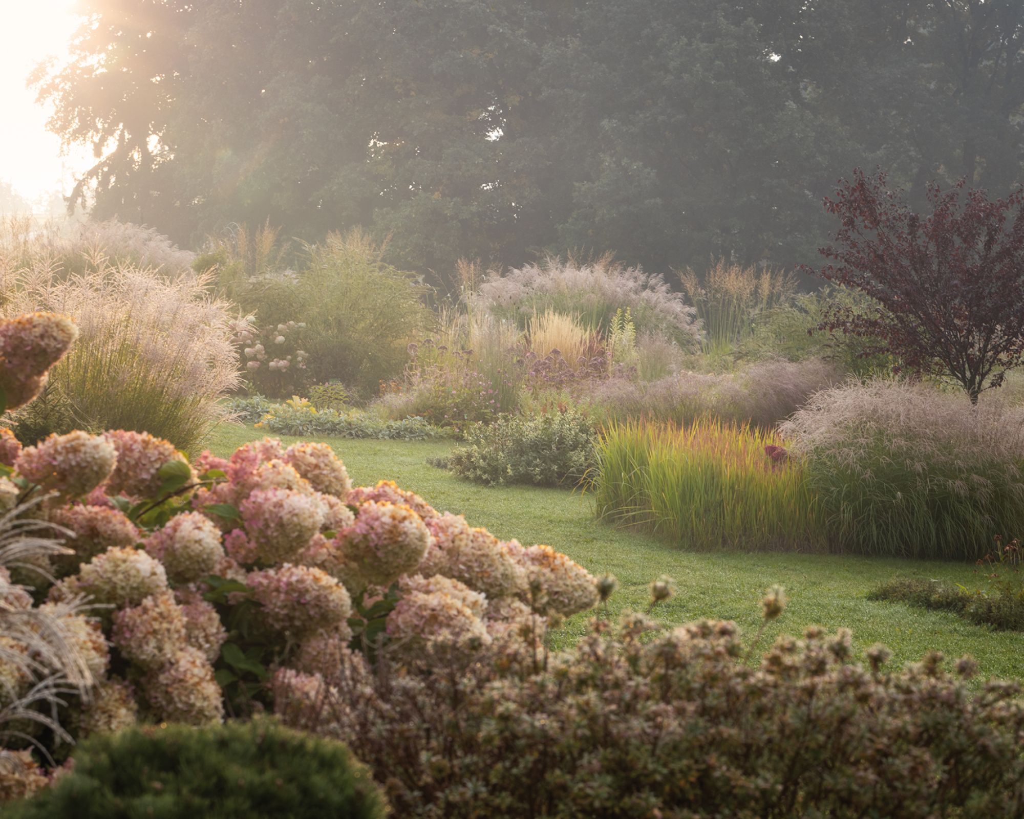 Magia jesieni w Arboretum Wojsławice – festiwal roślin i kolorów