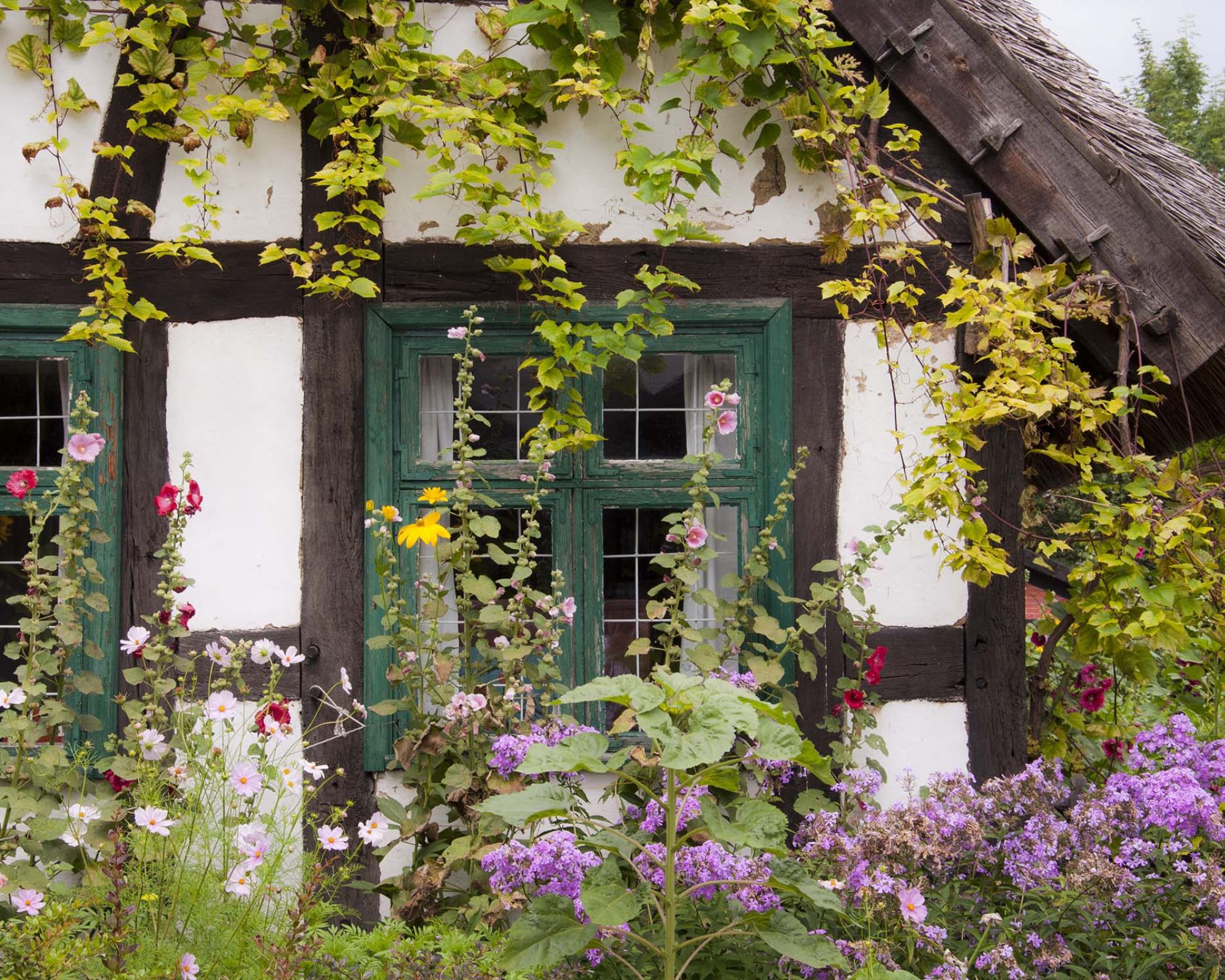 Sielski, dziki, prawdziwy ogród jak z dzieciństwa – jak go stworzyć dziś?