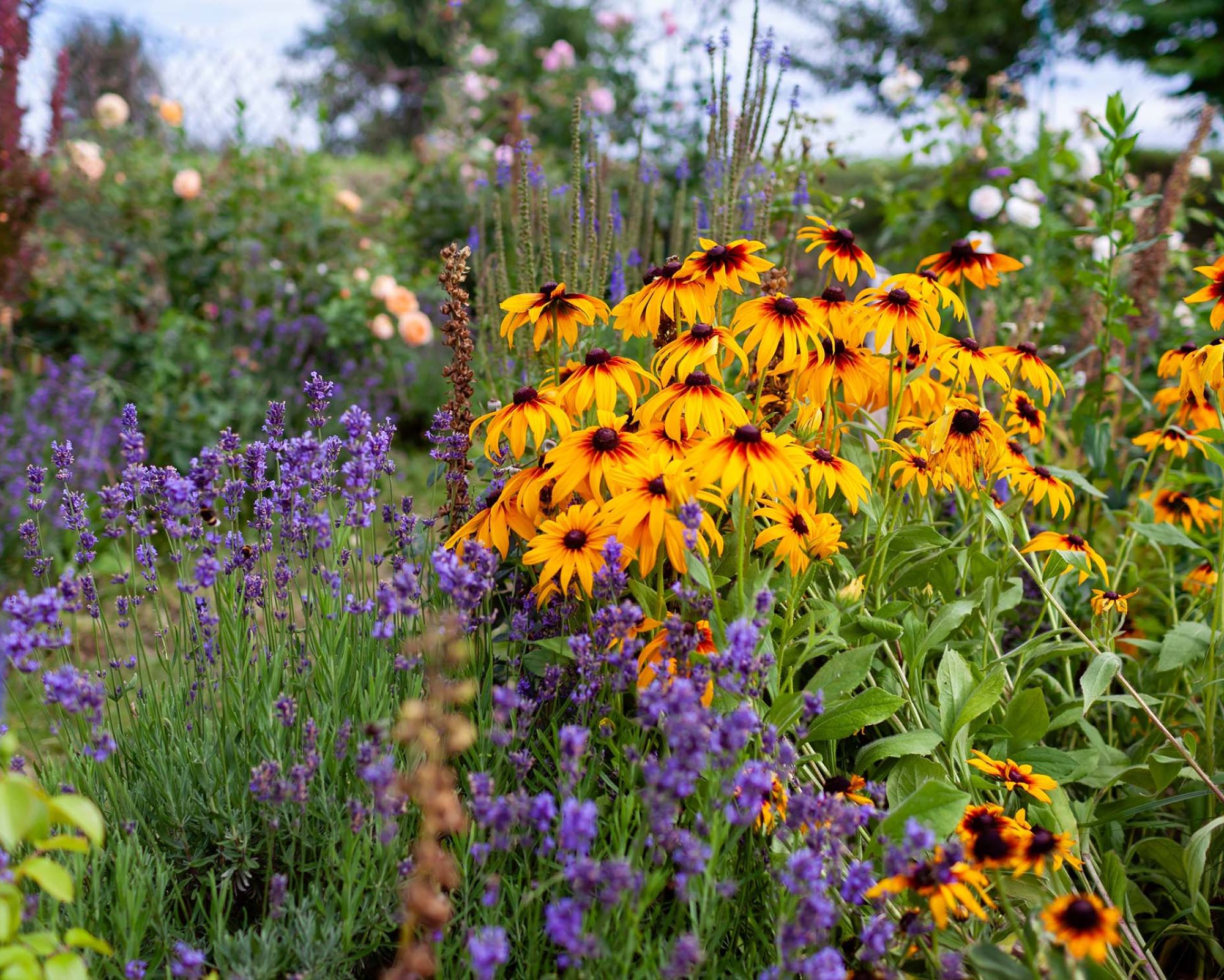 4 rzeczy, które musisz zrobić w maju, jeśli chcesz piękny ogród