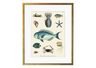 Ilustracja kompozycja morska - styl Hampton - Kolekcja Werandy