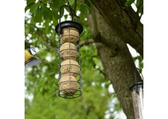 Karmnik dla ptaków na kule