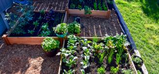 jak założyć ogródek warzywny