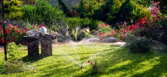 Jak skuteczne i oszczędnie nawadniać ogród?