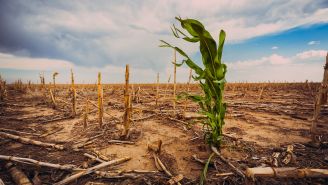 Skutki ocieplenia klimatu: świat się zmienia, ale czy na lepsze?