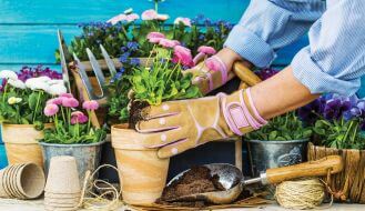 Kompozycje kwiatowe w donicach