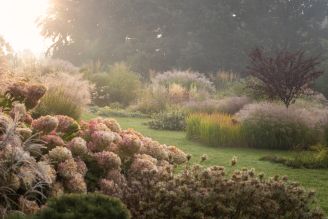 arboretum wojsławice