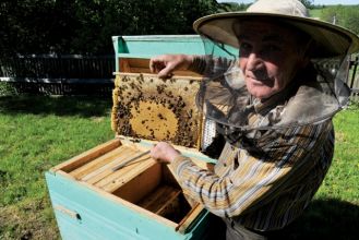 Praca przy pszczołach