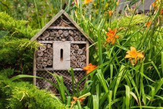 Domek dla owadów: zaproś do ogrodu dzikie pszczoły, trzmiele i lepiarki