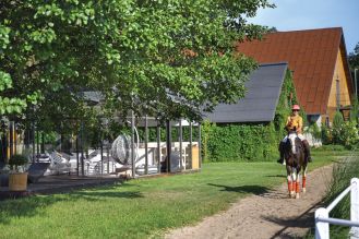 Polo nad Pilicą – siedlisko ze stajnią, gdzie wszystko kręci się wokół koni... i psów Portret właścicielki na koniu
