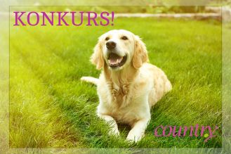 Konkurs: Sfotografuj ulubieńca!