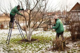 jak przygotować ogród na zimę