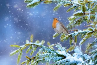 kalendarz biodynamiczny grudzień 2025